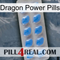 Dragon Power Pills 22